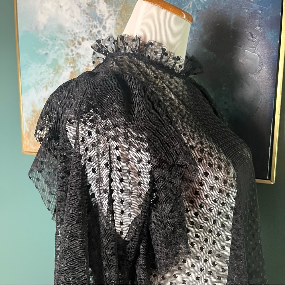 Zara Sheer Polka Dot Ruffled High-Neck Top - Picture 6 of 7